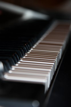 como participar_color